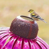 Coneflower Bird Feeder